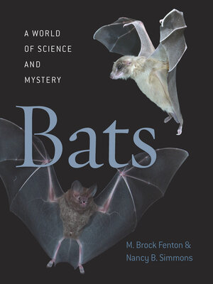 cover image of Bats